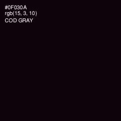 #0F030A - Cod Gray Color Image